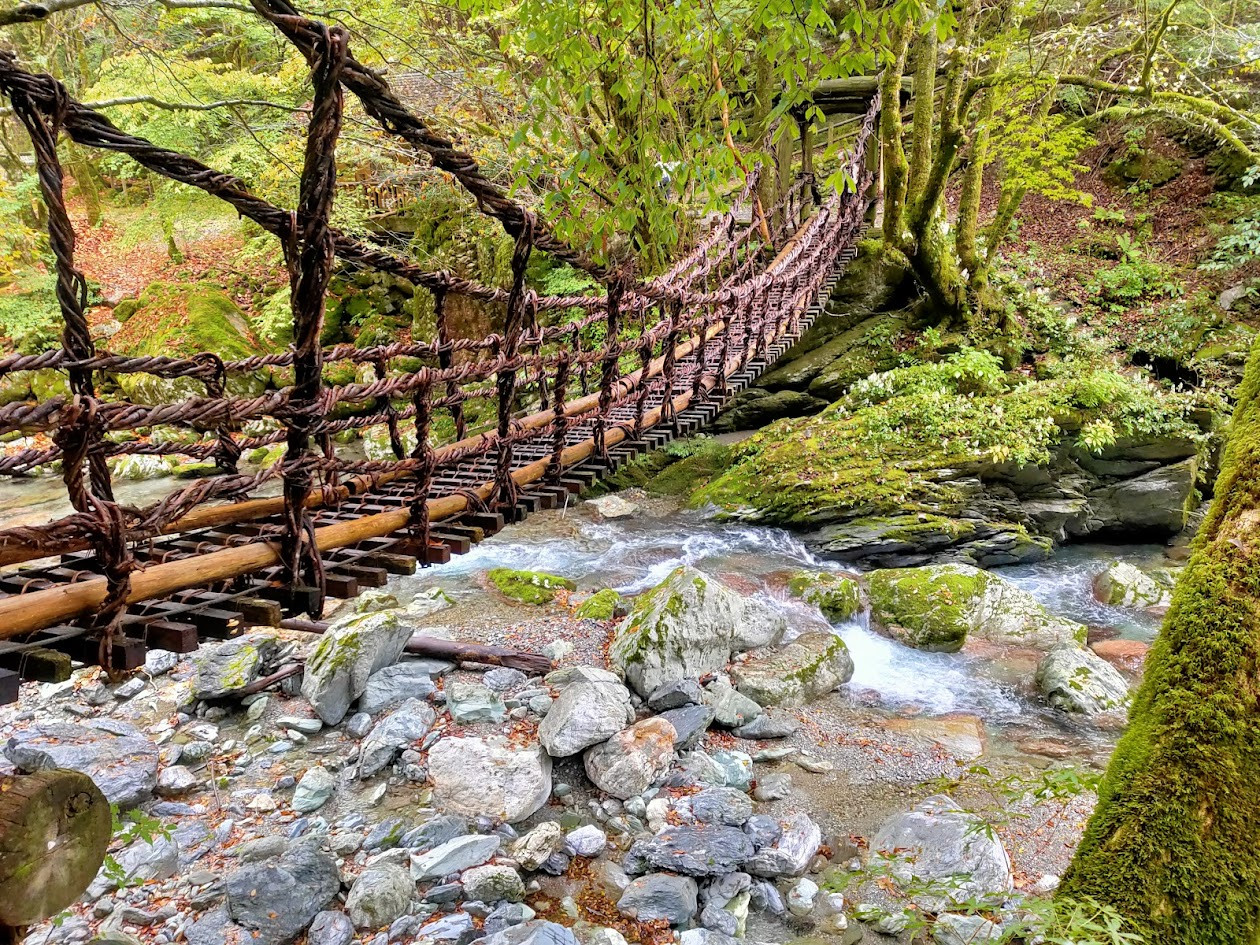 奥祖谷二重かずら橋