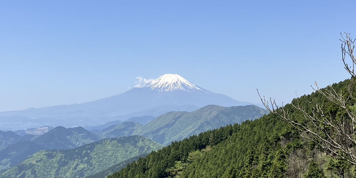 丹沢表尾根からの富士山