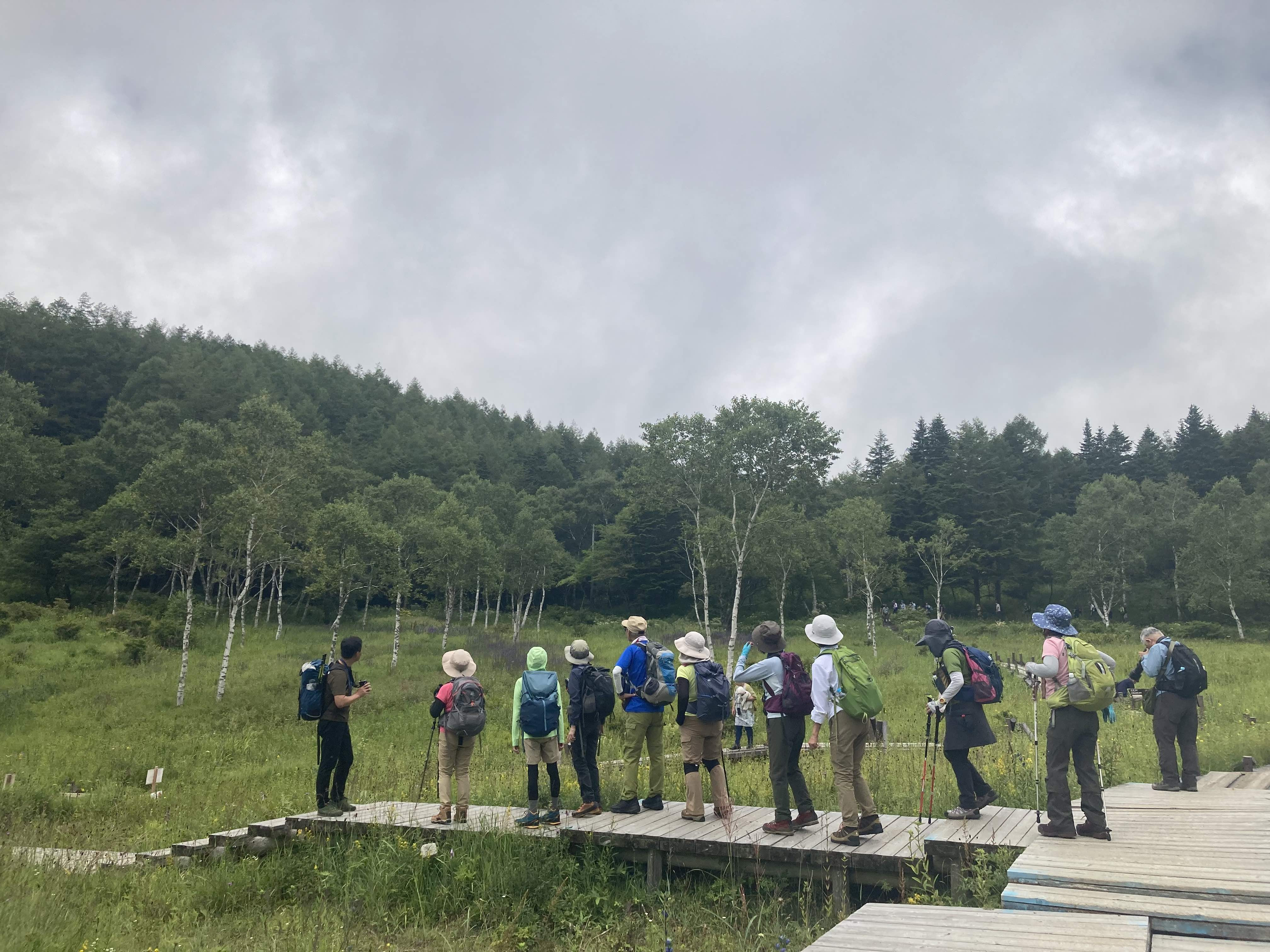 あちらこちらに高山植物があり、話がつきません