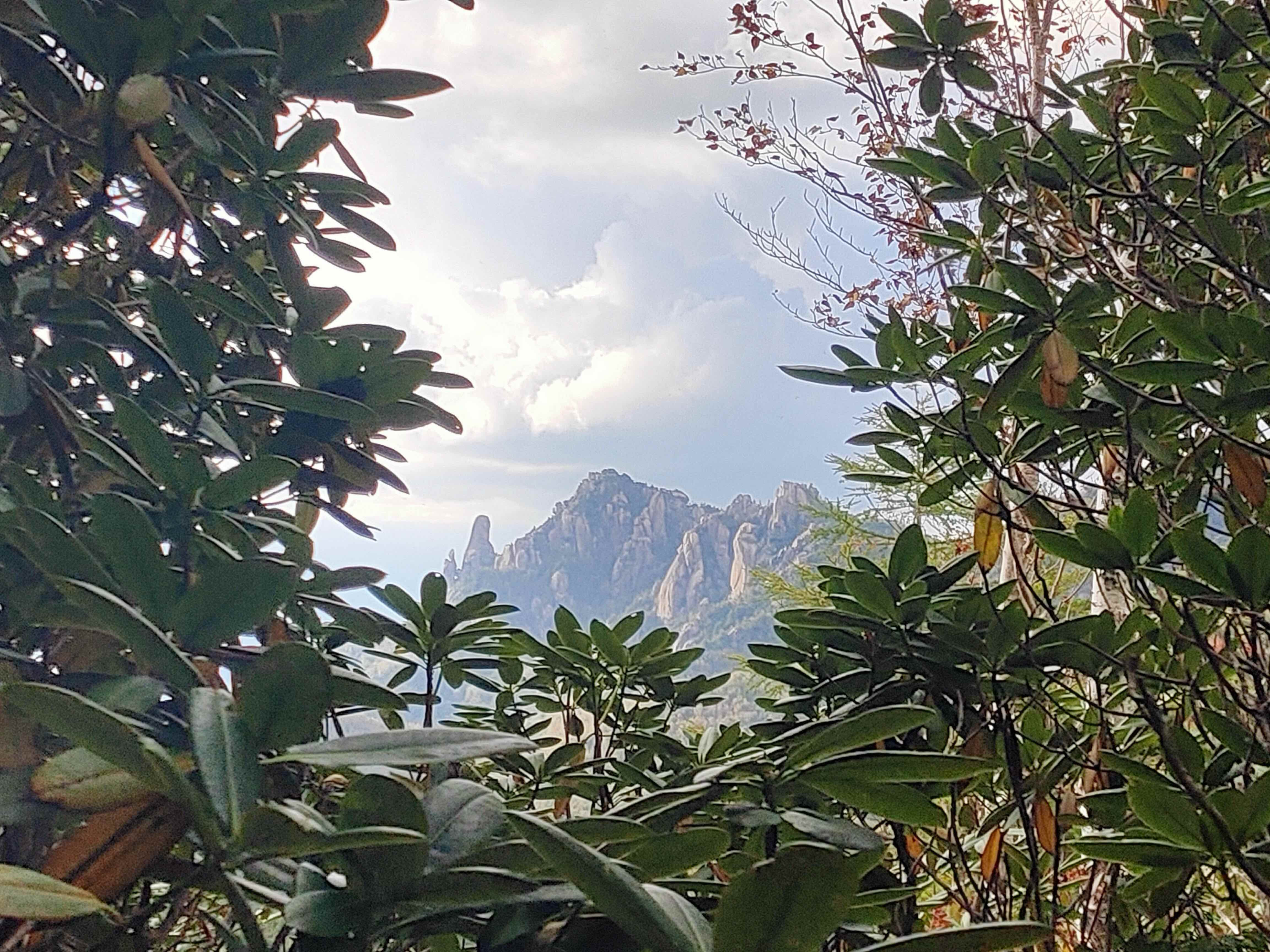 遠くに見える瑞牆山