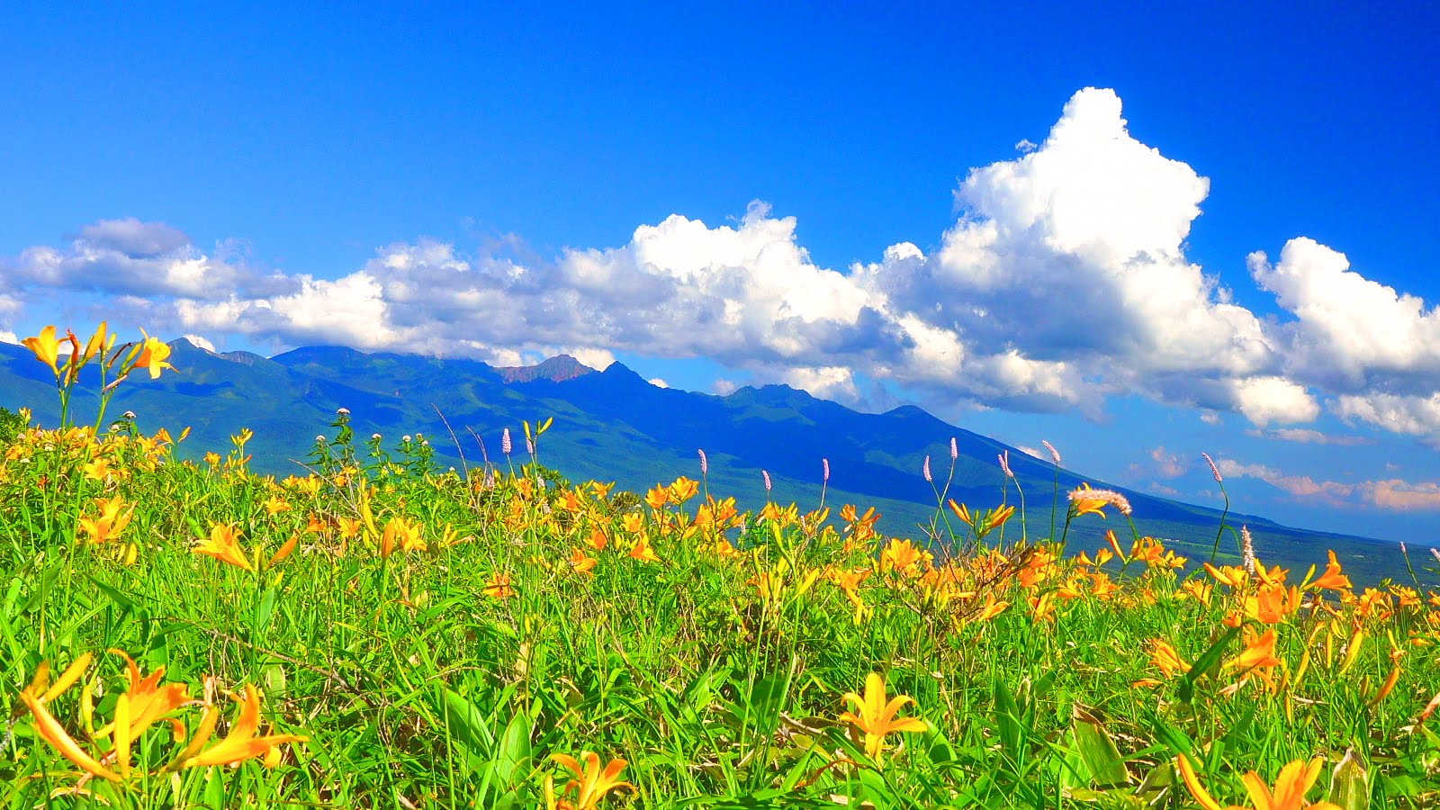 霧ヶ峰 Yamakara